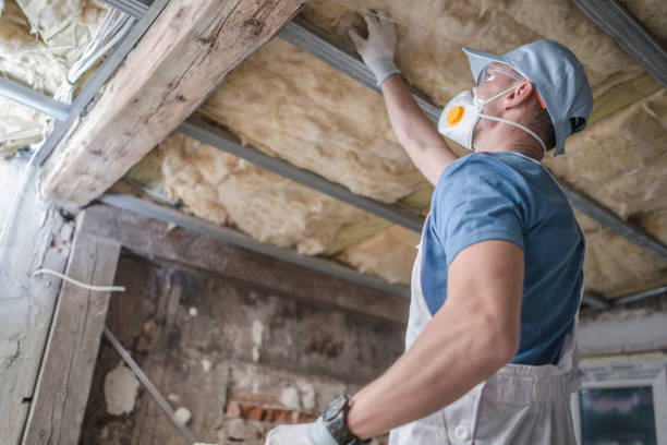 Range of Insulation Solutions in Walker, LA