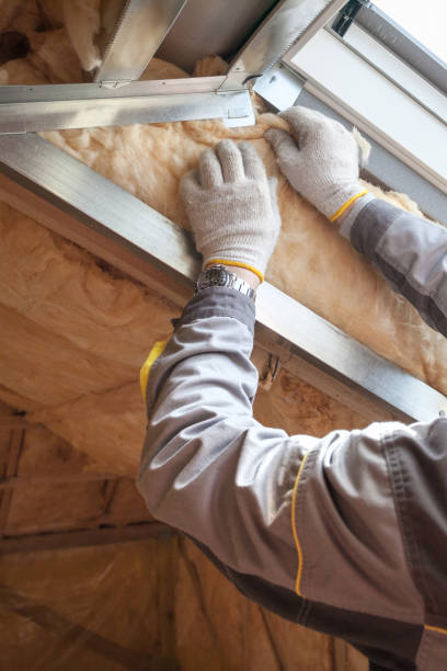 Best Blown-in Insulation  in Walker, LA
