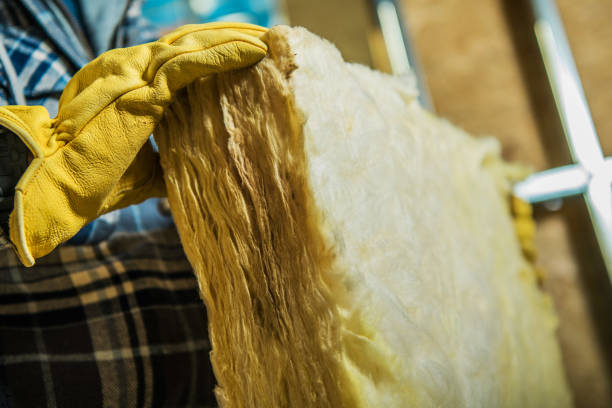 Best Soundproof Insulation Installation  in Walker, LA